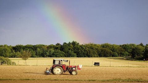 L'arrêt des pluies profitent aux cultures. L'arrêt des pluies profitent aux cultures.