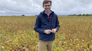 Le soja bio, valorisé en alimentation humaine entre 750€ et 800€/t, représente la meilleure marge de l'exploitation.