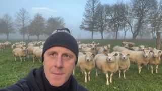 Plus de la moitié des béliers de Stéphane Ermann sont infertiles, ce qui l’oblige à adapter la mise en lutte de ses brebis. Plus de la moitié des béliers de Stéphane Ermann sont infertiles, ce qui l’oblige à adapter la mise en lutte de ses brebis.