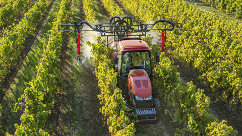 Près d'un tracteur sur trois commercialisés en France par Kubota est un modèle vignes et vergers. Malgré les difficultés de mise en production pour cette gamme, la marque a maintenu sa part de marché globale grâce à une bonne performance avec ses modèles destinés à la polyculture-élevage. Près d'un tracteur sur trois commercialisés en France par Kubota est un modèle vignes et vergers. Malgré les difficultés de mise en production pour cette gamme, la marque a maintenu sa part de marché globale grâce à une bonne performance avec ses modèles destinés à la polyculture-élevage.