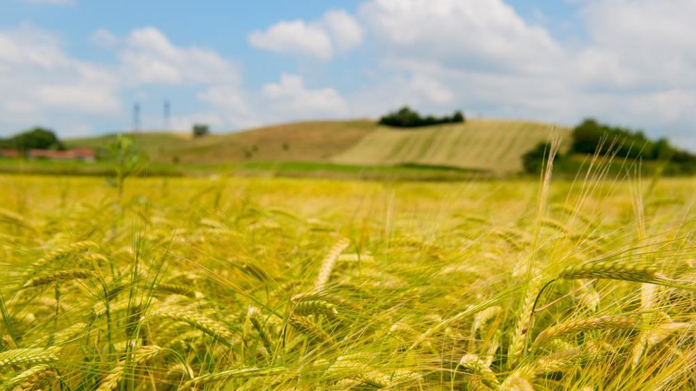 Plusieurs sources de financement existent pour favoriser la transition carbone.