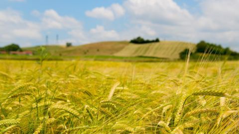 Plusieurs sources de financement existent pour favoriser la transition carbone.