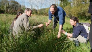 « La coupe ne freine pas la dynamique du le jonc, estime Sarah Mihout. L'idée ici est de resserrer animaux autour des jeunes joncs lorsqu'ils sont appétents pour qu'ils les consomment, mélangés à l'herbe. »