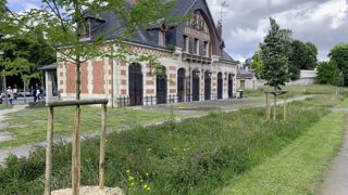 Les évolutions climatiques interrogent sur l'évolution des gammes demandées dans les aménagements paysagers. Une journée palette végétale urbaine est annoncée le 4 février à Paris.