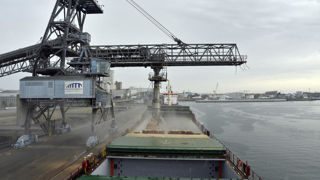 Le marché des oléagineux est entrainé par la chute des prix de l'huile de palme, tandis que les prix des céréales progressent.