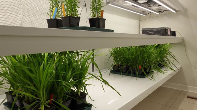 Le projet de règlement sur les plantes issues des nouvelles techniques génomiques n'a toujours pas trouvé de consensus au niveau des États membres.