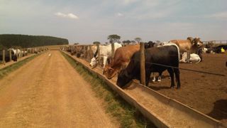 Les géants de l'abattage Marfrig et JBS ont décidé de stopper leurs livraisons à Carrefour au Brésil avec effet immédiat. Les géants de l'abattage Marfrig et JBS ont décidé de stopper leurs livraisons à Carrefour au Brésil avec effet immédiat.