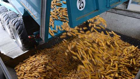 L’ISF, qui représente tous les grands semenciers mondiaux, défend notamment le développement des « nouvelles techniques génomiques » (NGT ou NBT).