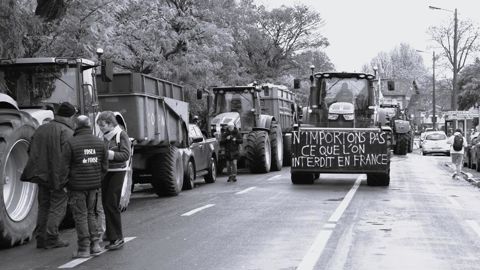 "Quelles mesures pour relancer la production agricole ?" : voici la thématique du rendez-vous Oui à l'innovation, animé le 26 novembre 2024 par Pascal Perri, éditorialiste et essayiste.