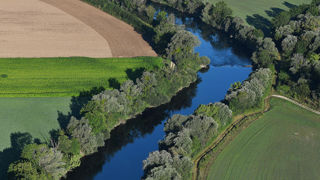 Parmi les produits phytosanitaires, c’est l’heptachlore, interdit depuis 1992, qui a été à l'origine de la majorité des dégradations des eaux de surface en 2021. Parmi les produits phytosanitaires, c’est l’heptachlore, interdit depuis 1992, qui a été à l'origine de la majorité des dégradations des eaux de surface en 2021.