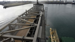 Le marché des oléagineux reste fortement volatil, quant aux céréales, le rebond des cours n'aura été qu'éphémère.