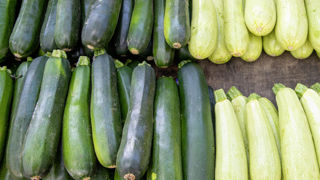 Au 1er novembre 2024, la production française de courgettes est estimée en baisse de 14 400 tonnes (–10 %), selon Agreste. Au 1er novembre 2024, la production française de courgettes est estimée en baisse de 14 400 tonnes (–10 %), selon Agreste.