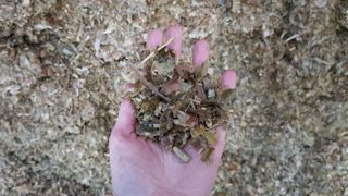 Les rendements des maïs ensilage 2024 sont plutôt bons avec des valeurs énergétiques correctes. Les rendements des maïs ensilage 2024 sont plutôt bons avec des valeurs énergétiques correctes.