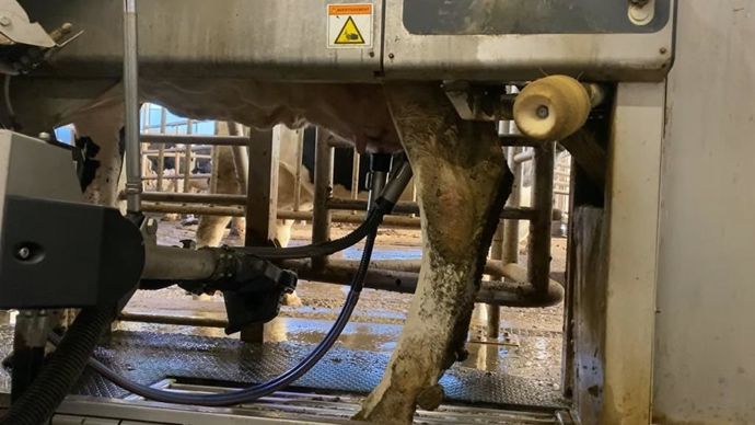 Disponibilité des services de maintenance, et peur de perte en autonomie figurent parmi les plus grandes craintes des éleveurs.