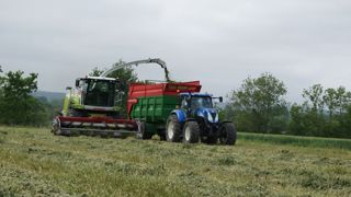 Peu d'impact économique de l'introduction de l'affouragement en vert ou de la luzerne combinée à la betterave pour les systèmes lait spécialisés. Peu d'impact économique de l'introduction de l'affouragement en vert ou de la luzerne combinée à la betterave pour les systèmes lait spécialisés.