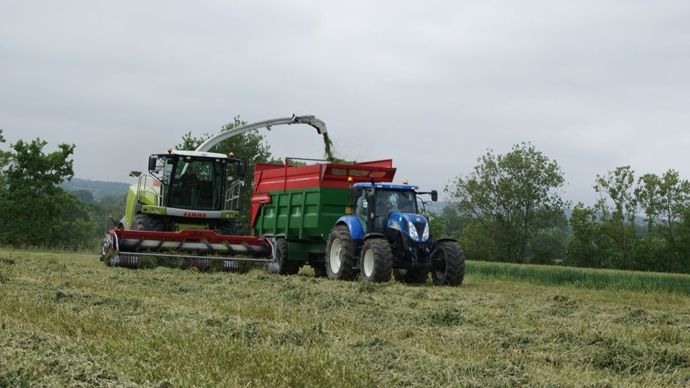 Peu d'impact économique de l'introduction de l'affouragement en vert ou de la luzerne combinée à la betterave pour les systèmes lait spécialisés.