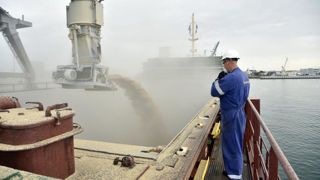 D'après FranceAgriMer, le solde commercial français pour les céréales était de 7 milliards d'euros en 2023.