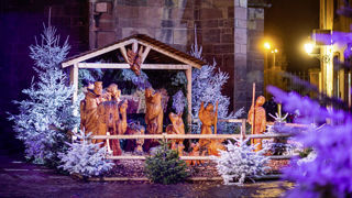 À Haguenau, en Alsace, le marché de Noël accueille une quarantaine de scènes de la Nativité venues du monde entier. À Haguenau, en Alsace, le marché de Noël accueille une quarantaine de scènes de la Nativité venues du monde entier.
