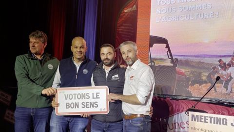 Les quatre leaders de la FNSEA et de Jeunes agriculteurs