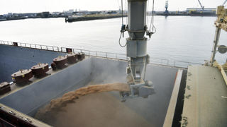 Cette semaine les cours des céréales comme ceux des oléagineux repartent à la hausse.