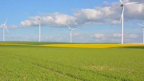 Lumisena bénéficie d'un usage dérogatoire pour la campagne 2025, pour le pois protéagineux de printemps et la féverole de printemps.