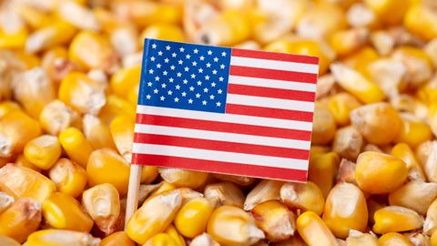 L'USDA vient de baisser de 5 Mt son estimation des stocks américains de maïs à la fin de la campagne 2024/25