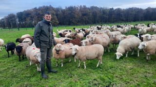 Passionné depuis toujours par les animaux et la reproduction, Gaël Jacquey aime passer du temps parmi ses brebis. Passionné depuis toujours par les animaux et la reproduction, Gaël Jacquey aime passer du temps parmi ses brebis.