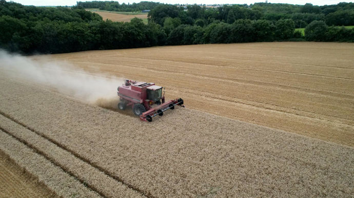 [] Mauvaises récoltes et prix bas font chuter la valeur de la production agricole en 2024