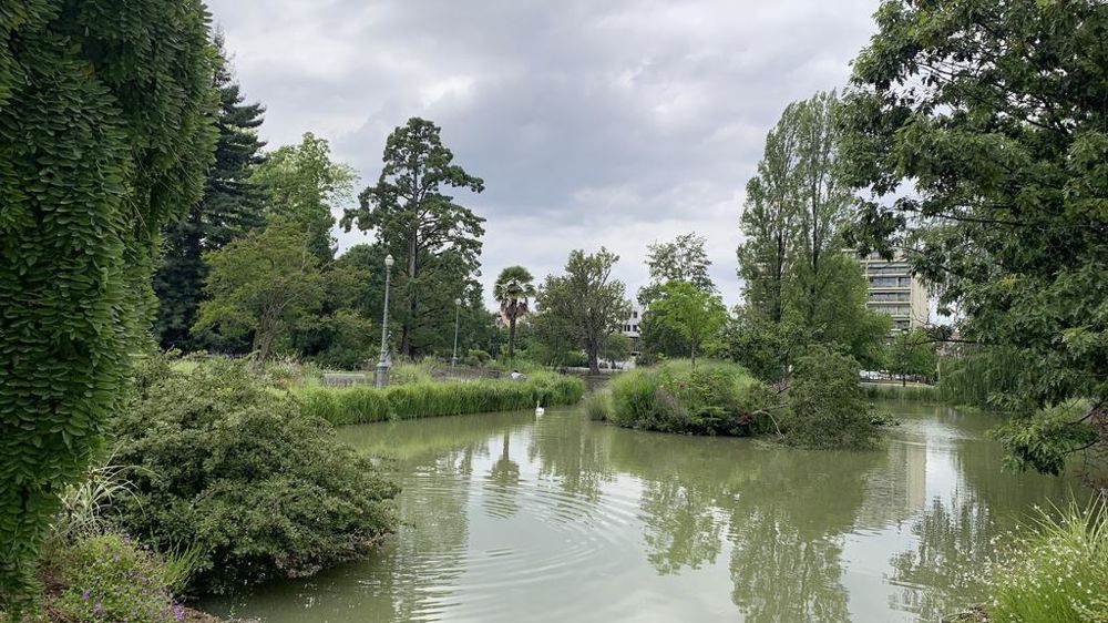 D’après un inventaire mondial publié début 2024, les parcs et jardins sont les aménagements les plus efficaces pour diminuer la température de l’air des métropoles.
