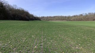 Dans son bulletin Mars paru le 16 décembre 2024, la Commission européenne juge que les cultures d’hiver sont « en assez bon état » dans la plupart des régions d’Europe.