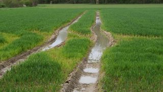 La campagne 2023-2024 s'est caractérisée par des pluies excessives sur une large partie du territoire.