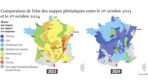 Au 1er octobre 2023, 70 % des niveaux des eaux souterraines affichaient une baisse, tandis qu’un an plus tard, 73 % sont au-dessus des normales.