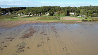 Les agriculteurs victimes de catastrophe naturelle devraient pouvoir bénéficier sous certaines conditions d'une aide à la trésorerie supplémentaire financée par le Feader. Les agriculteurs victimes de catastrophe naturelle devraient pouvoir bénéficier sous certaines conditions d'une aide à la trésorerie supplémentaire financée par le Feader.