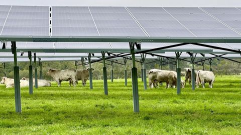 Les premières études montrent une meilleure préservation de l'humidité au sol sous les panneaux photovoltaïques. Les premières études montrent une meilleure préservation de l'humidité au sol sous les panneaux photovoltaïques.