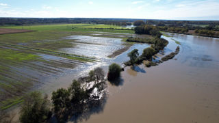 La garantie "frais de re-semis" peut être sollicitée en cas d'aléa climatique. La garantie "frais de re-semis" peut être sollicitée en cas d'aléa climatique.