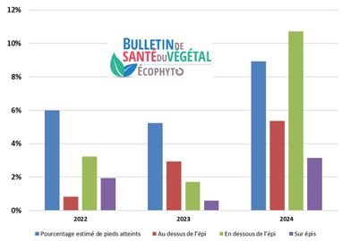 Fréquence de pieds présentant des larves de pyrales et répartition de l'intensité d'attaques sur la plante. Fréquence de pieds présentant des larves de pyrales et répartition de l'intensité d'attaques sur la plante.