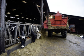 Durée, prix… les parties sont libres de convenir de leurs propres règles de fonctionnement de la pension des animaux. Durée, prix… les parties sont libres de convenir de leurs propres règles de fonctionnement de la pension des animaux.