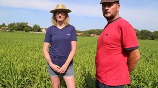 En deux coupes de sorgho, Aurore et Stéphane Lorget récoltent 10 à 12 tonnes de matière sèche par hectare.