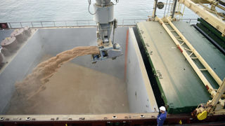 Les exportations de produits bruts reculent vers l’Afrique du Nord et la Chine, pénalisées par les faibles ventes de céréales.