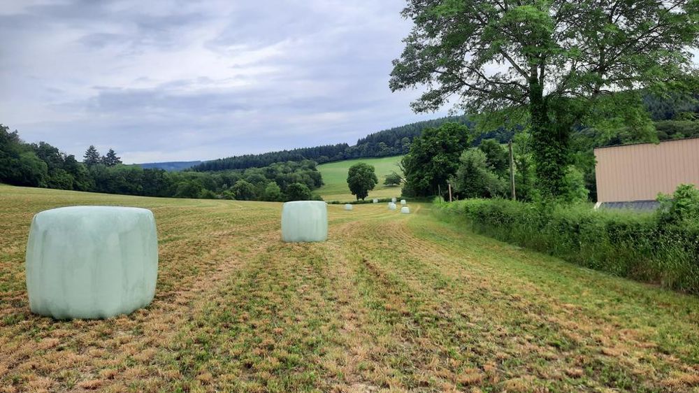 Fourrages enrubannés