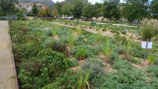 Le parc de la Jarre, géré par la Ville de Marseille, fait partie des 33 nouveaux sites labellisés EcoJardin à l’occasion de la seconde session de labellisation de 2024.