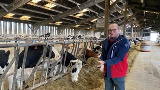 Vincent Wattelle. " Nous sommes passé d'une ration sécurisée de 17 % à 26% d'amidon, avec un gain de près de 4 litres de lait." Vincent Wattelle. " Nous sommes passé d'une ration sécurisée de 17 % à 26% d'amidon, avec un gain de près de 4 litres de lait."