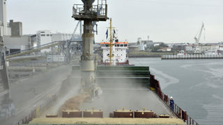 « Avec une qualité moindre, et face à une très forte compétitivité de la Russie, nous n’avons pas trouvé notre place sur le marché à l'exportation », explique l'analyste Nicolas Pinchon.