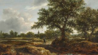 Au XVIIe siècle, les droits d'usage des forêts (pacage, bois, cueillette...) commencent à être attaqués. Au XVIIe siècle, les droits d'usage des forêts (pacage, bois, cueillette...) commencent à être attaqués.
