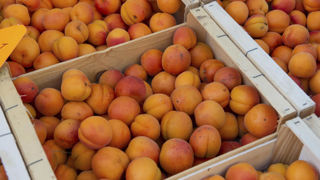 Le cours des abricots a bondit de 25 % entre 2023 et 2024. Le cours des abricots a bondit de 25 % entre 2023 et 2024.