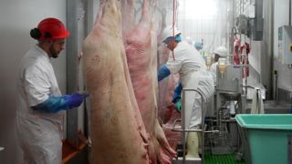 L'abattoir d'Auch (Gers) peut parier sur la venue d'éleveurs du Tarn-et-Garonne et des Hautes-Pyrénées, où les outils de Montauban et de Bagnères-de-Bigorre ont récemment fermé. L'abattoir d'Auch (Gers) peut parier sur la venue d'éleveurs du Tarn-et-Garonne et des Hautes-Pyrénées, où les outils de Montauban et de Bagnères-de-Bigorre ont récemment fermé.