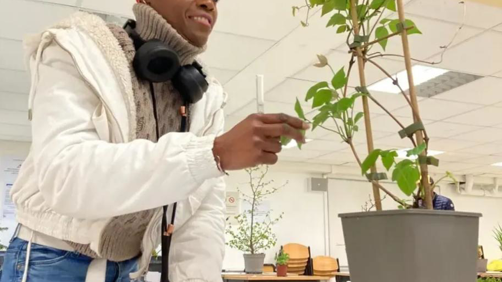 La reconnaissance des végétaux intéresse étudiants et professionnels. Le concours national passera, en 2025, en octobre et sera hébergé par le parc Terra Botanica à Angers.