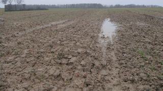 L'AGPB a continué d'alerter sur l'urgence de la situation des céréaliers, lors de ses voeux à la presse le 14 janvier 2025.