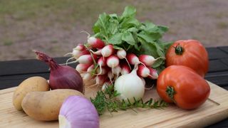 La photo qui « marche » le mieux est celle qui suggère le plat, donne envie de manger le produit.