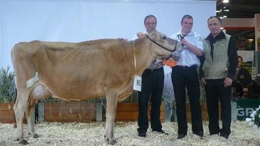 Eblouie, grande championne jersiaise au Sia 2013